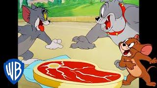 Tom i Jerry po polsku  Prawdziwa przyjaźń ️  WB Kids