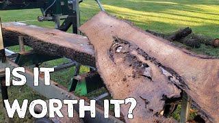 Sawmilling Through An Ant Colony