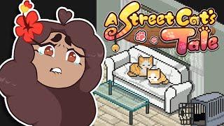 A Surprising ENDING of Hope for... Mama Cat?  A Street Cats Tale • #11