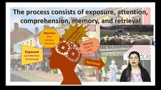 Consumer Information Processing Introduction