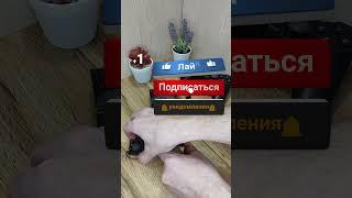 Корпус для приставки на 3D принтере.