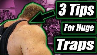 3 tips to get Huge Monster Traps