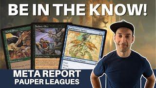 STAY ON THE PULSE MTG Pauper 5-0 trophy deep dive and spice discussion. Whats the new hotness?