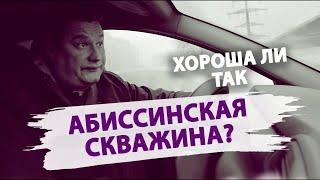 Рекламный ход или реальный источник воды? Что такое абиссинская скважина?