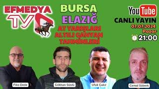 08.07.2024 Pazartesi Elazığ Bursa At Yarışları Altılı Ganyan Tahminleri