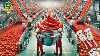 How Heinz Tomato Ketchup Is Made  Tomato Ketchup Factory Process