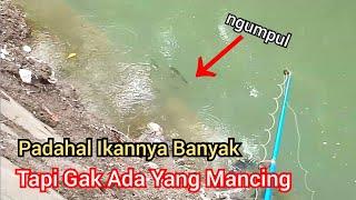 Info tempat mancing terbaru di jakarta pusat