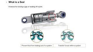 Hydraulic seal - understanding about sealing ring of cylinder