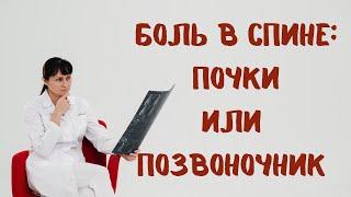 Боль в спине почки или позвоночник? Отличия Доктор Лисенкова