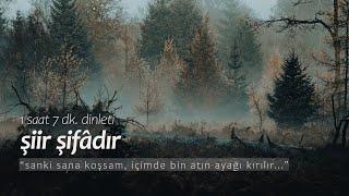 şiir şifâdır  en sevilenler 1 saat dinleti