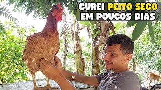 Como curar o PEITO SECO em GALINHAS em poucos dias