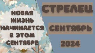 СТРЕЛЕЦ СЕНТЯБРЬ 2024 Таро прогноз