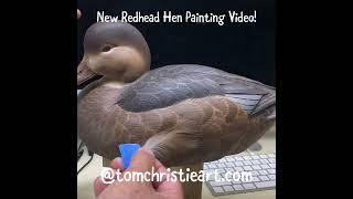 Redhead Hen Painting Video