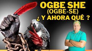  OGBE OSHE   CONSEJOS te AYUDARÁ a VIVIRLO  OGBÈ-OSÉ  OGBE ONIWOO  regla de osha e ifa