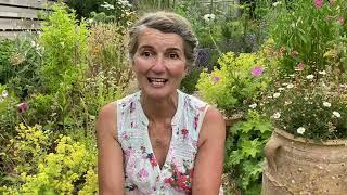 Unravelling Neals Yard Remedies with Tipper  How Organic Began 1990s  Neals Yard Remedies