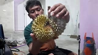 Belah Durian Montong Kane