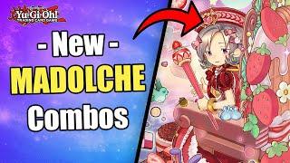 3 MUST KNOW COMBOS  NEW MADOLCHE COMBOS  POST THE INFINITE FORBIDDEN  Yu-Gi-Oh