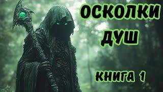  Аудиокнига  ОСКОЛКИ ДУШ  ПОПАДАНЦЫ  ФЭНТЕЗИ  КНИГА 1  #фэнтези #аудиокниги #фантастика