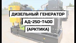 Дизельный генератор АД-250-Т400 АРКТИКА