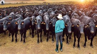 Hacer Carne Vaca Artificial Con Una Impresora 3D Tecnología Alternativa De Producción De Alimentos