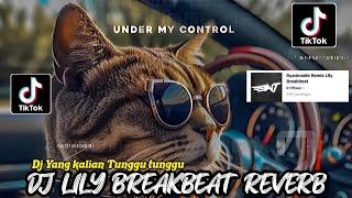 DJ LILY BREAKBEAT  REVERB  REMIX VIRAL TIKTOK