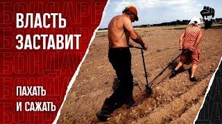 Есть дача? Плати штраф Поборы власти усиливаются