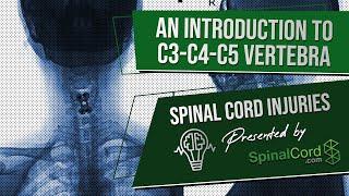 C3 C4 C5 Definitions. Cervical Spinal Cord Injury Symptoms Causes Treatments and Recovery.