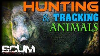 SCUM  HUNTING & TRACKING ANIMALS  TIPS & TRICKS