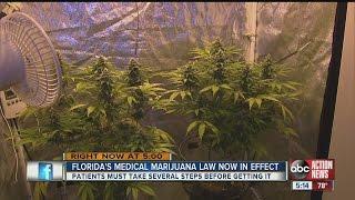 Floridas medical marijuana law now in effect