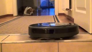 Roomba 650