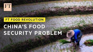 China’s intensifying focus on food security  FT Food Revolution