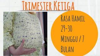 Rasa Hamil 29 - 30 Minggu