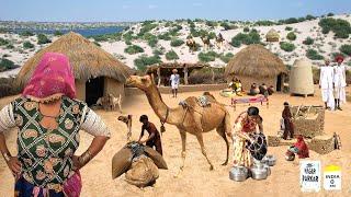 Thar Desert Woman Village Life Pakistan near Rann of Kutch  Traditional Life  Stunning Pakistan
