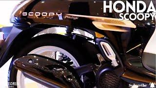 2024 Honda Scoopy First Look at the Cub12 Prestige & Urban Models  9 Stunning Colors