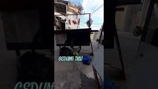 dagang#shortvideos #fypシ゚viral #shortvideos #fypshorts #fyptiktok #fyp #shorts