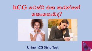 hCG ටෙස්ට් එක කරන්නේ කොහොමද Urine hCG strip test in sinhala