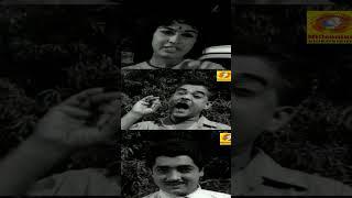 Rahasyam Movie Shorts  രഹസ്യം  Prem Nazir & Sheela  Malayalam Evergreen Superhit Movie