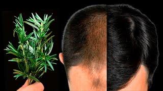 I tried it and my hair growth doubled in 1 month Increase hair density with double hair growth