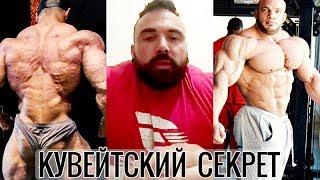 Элитная Генетика и Лень - Вот КУВЕЙТСКИЙ Секрет - ЛЮК СЭНДО