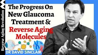 NEW Glaucoma Treatment & REVERSE Aging Molecules Jul 2024 Update  Dr David Sinclair