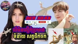 កាត់ទំនាយសត្វ ជីកចក់ធ្លាក់លើខ្លួន មនុស្សប្រុស-ស្រី  បើមិនជឿកុំប្រមាថ 