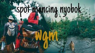 #nyobok #wgm #spotpdam sopt Mancing WGM PDAM mboto batu  pemancing amatiran