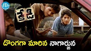 Nagarjuna becomes a Thief  Kedi Telugu Movie Scenes  Mamtha Mohandas  Brahmanandam