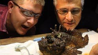 Milking the WORLDS MOST VENOMOUS FISH - Smarter Every Day 117