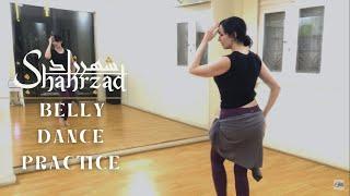 Shahrzad Belly Dance Practice