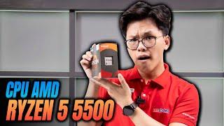 Trên Tay Và Đánh Giá Nhanh CPU AMD Ryzen 5 5500