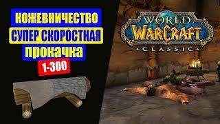 WoW CLASSIC  Гайд Кожевничество 1-300 Супер быстрая прокачка