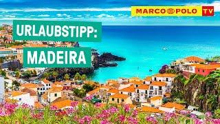 Die Blumeninsel im Atlantik - Urlaubstipp Madeira