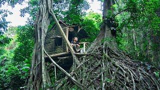 Build Bushcraft Shelters On Old Trees For Survival Clay Fireplaces Catch Snails In The Mountains