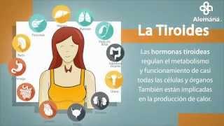 Tiroides Síntomas tratamientos y más  Clínica Alemana